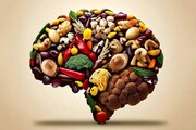 رژیم غذایی لاغری مغز را هم جوان می‌کند