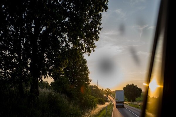 مگس‌پران و جرقه چشم چیست؟