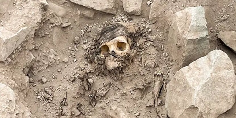 کشف یک مومیایی ۳۰۰۰ ساله از زیر ۷ تن زباله