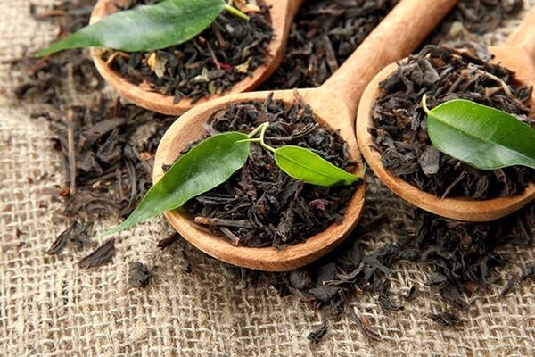 شرط واردات چای به کشور برای تنظیم بازار