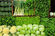 عسکری: در بیش از ۴۰ درصد سبزیجات فلرات سنگین وجود دارد