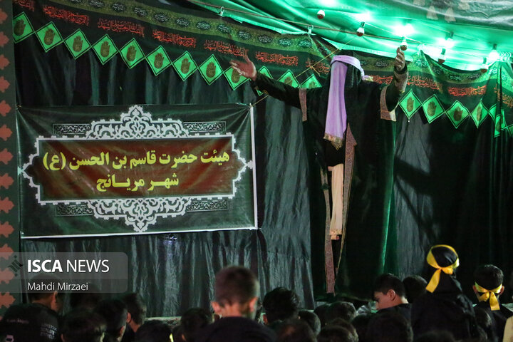 عزاداری مردم شهرستان همدان در سوگ سید و سالار شهیدان