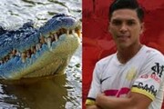 کروکودیل یک فوتبالیست کاستاریکایی را کُشت + فیلم