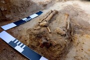 کشف بقایای یک کودک خون‌آشام در گورستانی در لهستان