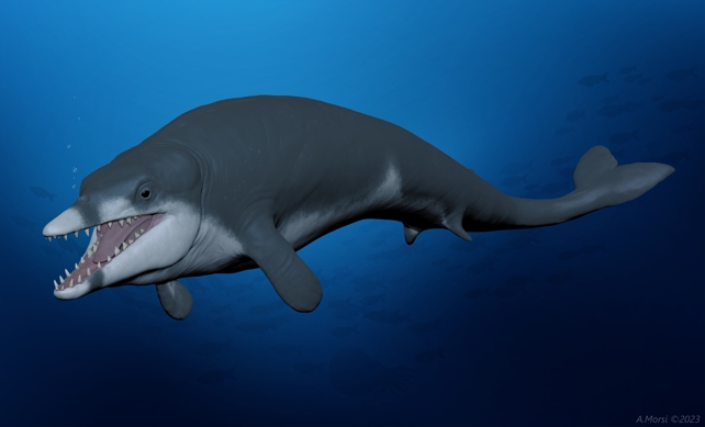 کشف بقایای یک نهنگ ۴۱ میلیون ساله در شن‌های باستانی مصر