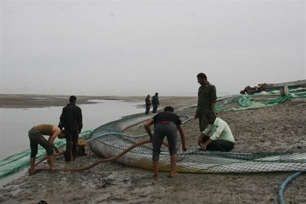 کشف ۴۰۰ هزار لیتر گازوئیل قاچاق در هرمزگان