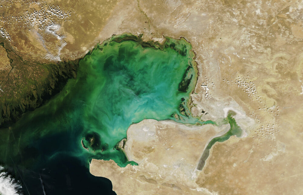 فجایعی که در دنیای بدون دریای خزر به وقوع می‌پیوندد / مراقب باشید کاسپین به عاقبت دریاچه ارومیه گرفتار نشود 
