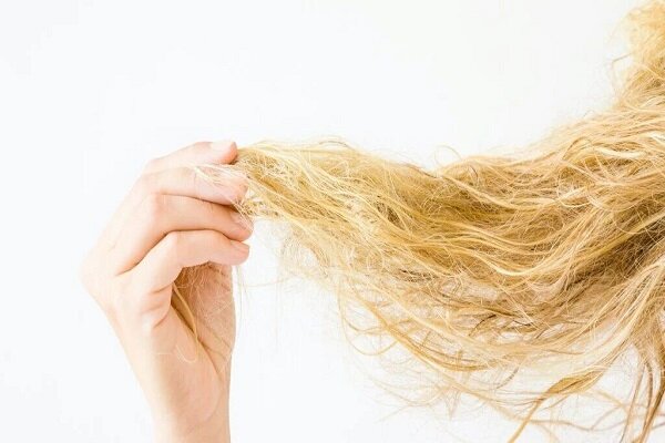 هر آنچه باید درباره موهای آسیب‌دیده بدانید