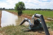 نقش‌ کشاورزی غیراصولی در افزایش تنش‌های آبی /  ۸۵ درصد از تالاب‌ها خشک شده‌اند