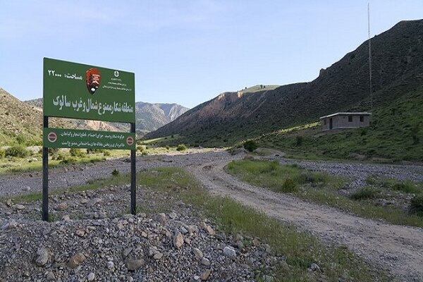 آتش‌سوزی پارک ملی سالوک خراسان‌شمالی مهار شد