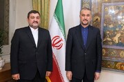 بروجردی سفیر ایران در اندونزی شد + سوابق