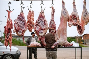 قیمت گوشت قرمز یکشنبه ۳۰ مهر ۱۴۰۲ 