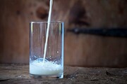 تاثیر فوق العاده مصرف شیر در جلوگیری از آلزایمر