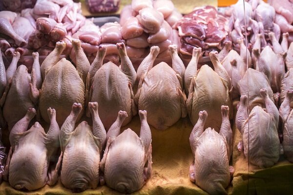 مرغ گرم زیر قیمت بازار در میادین میوه و تره‌بار شهرداری تهران عرضه می‌شود