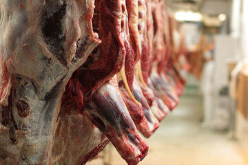کاهش قیمت گوشت گوسفندی و گوساله در بازار تهران