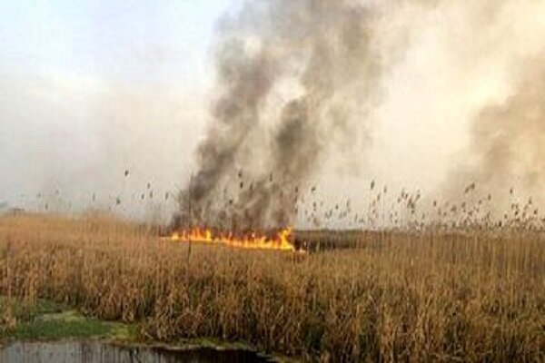 آتش‌سوزی گسترده و پراکنده در هویزه عراق / خوزستان در خطر است ؟ + عکس و فیلم