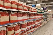 سعید راد: واردات برنج خارجی متوقف است