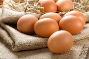 قیمت تخم‌مرغ یکشنبه ۲ اردیبهشت ۱۴۰۲