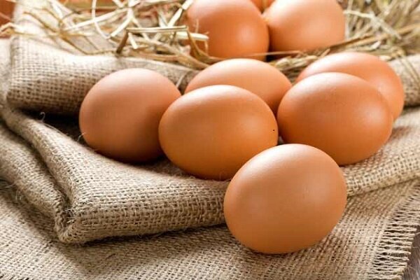 علت افزایش قیمت تخم‌مرغ چیست؟