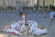 صحنه جرم رژیم صهیونیستی توسط دانشجویان دانشگاه امیرکبیر بازسازی شد