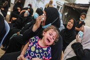 طوفان الاقصی| آمار شهدای فلسطین از ۵هزار نفر فراتر رفت / ارتش اسرائیل: پهپاد ناشناس وارد آسمان حیفا شده بود