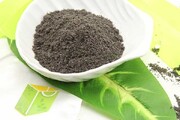 ترکیب طلایی صبحانه؛ نقش سیاه‌دانه و پنیر در تقویت عملکرد ذهنی