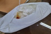 کشف ۴ کیلو مخدر شیشه در بالشت‌هایی در فرودگاه امام خمینی