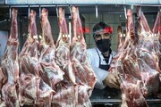 واردات گوشت گرم به زودی از سر گرفته می‌شود
