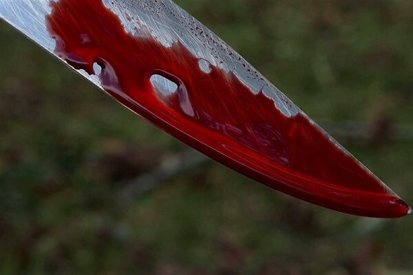 قتل هولناک یک پیرمرد با ۹ ضربه چاقو در سعادت آباد