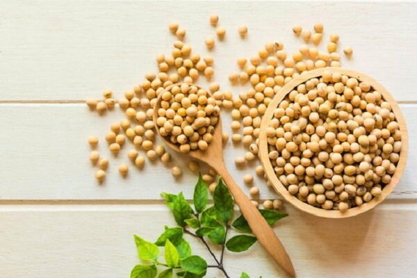 آشنایی با خواص سویا در رژیم غذایی سالم