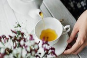 آشنایی با زمان مصرف و خواص چای کوهی