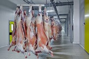 قیمت روز گوشت قرمز شنبه ۷ بهمن ۱۴۰۲