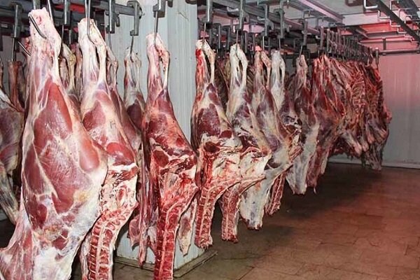 کشف ۷۰ تن گوشت فاسد توسط پلیس