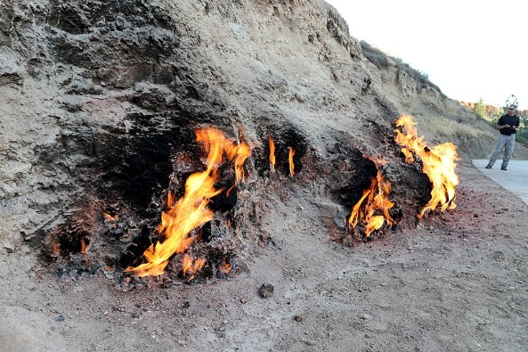 جمهوری آذربایجان؛ کشوری با مراکز فناوری متمرکز بر کشاورزی