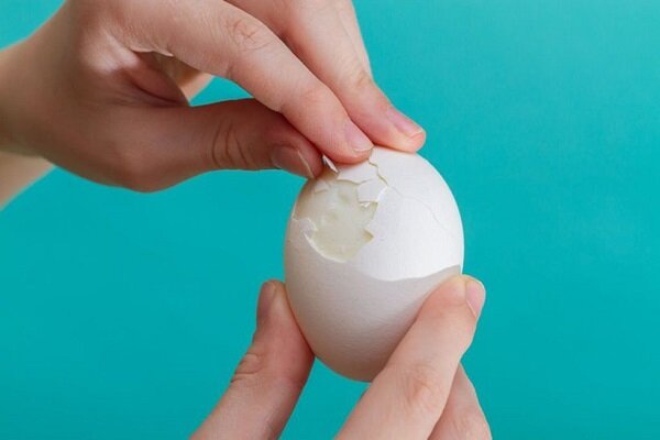 جایگزین‌هایی برای تخم مرغ در رژیم غذایی
