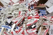 کشف ۲۴ هزار نخ سیگار قاچاق در کاشان