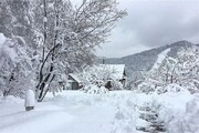 هواشناسی ایران / بارش برف در ۱۶ استان