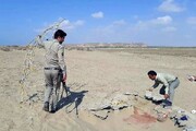 انهدام ۳ باند قاچاق پرندگان شکاری در بوشهر