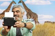جشنواره فجر ۴۲ / صبحانه با زرافه دومین فیلم بلند سروش صحت