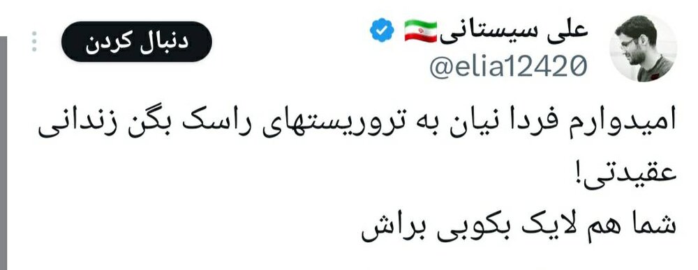 سلبریتیها ببخشند، که خون شهدای پلیس صرفه سیاسی ندارد/ شهدای راسک مظلوم هستند