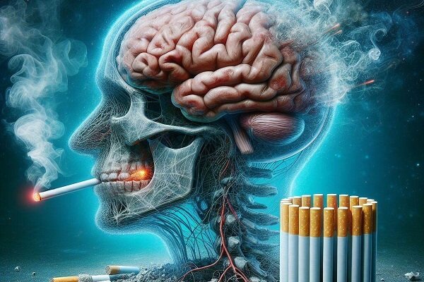 ادعای جدید دانشمندان مبنی بر نابودی مغز انسان با سیگار