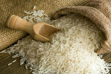 قیمت برنج ایرانی ۹ درصد کاهش یافت