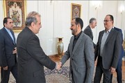 رایزنی محمد عبدالسلام با مشاور ارشد امیرعبداللهیان در تهران