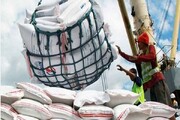 معاون اول رئیس‌جمهور: واردات برنج خارجی همچنان ممنوع است
