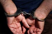۳ نفر از کارکنان متخلف منابع طبیعی در رضوانشهر دستگیر شدند