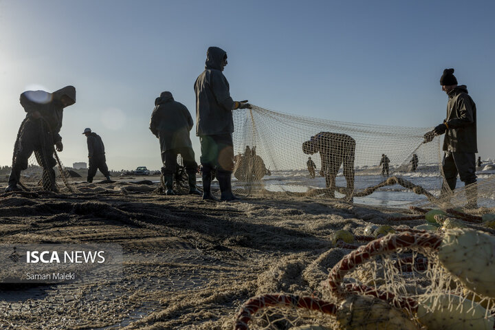 ماهیگیری در سواحل مازندران