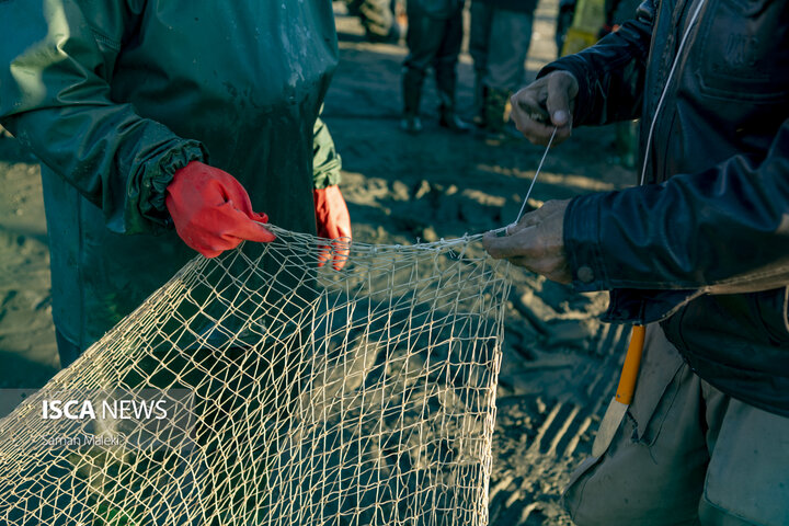 ماهیگیری در سواحل مازندران