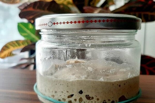 خوردن خمیر ترش چه فوایدی دارد؟