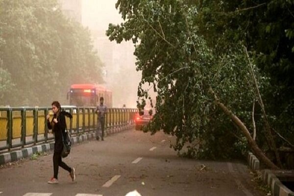هشدار رگبار و وزش باد شدید برای تهران