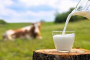 شیر برای کودکان چه فوایدی دارد؟